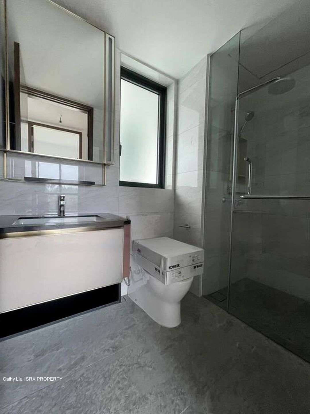 Normanton Park (D5), Apartment #454680911